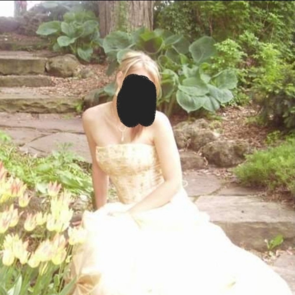 Cinderella Prom Dress